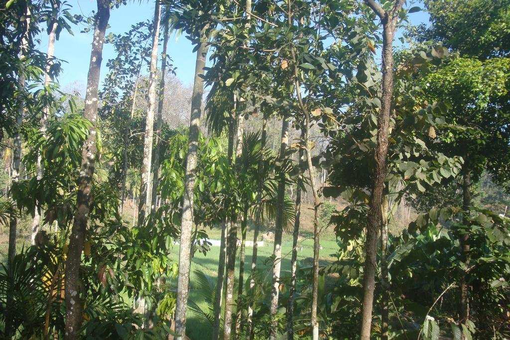 Wayanad Gate Resort Манантавади Экстерьер фото